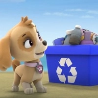Paw Patrol Strandreinigung